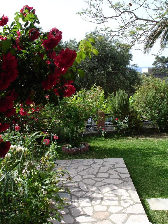 Bozikis Apartments & Studios باليوكاستريتسا المظهر الخارجي الصورة